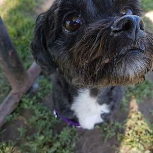 Meet your Posher, Kycaro